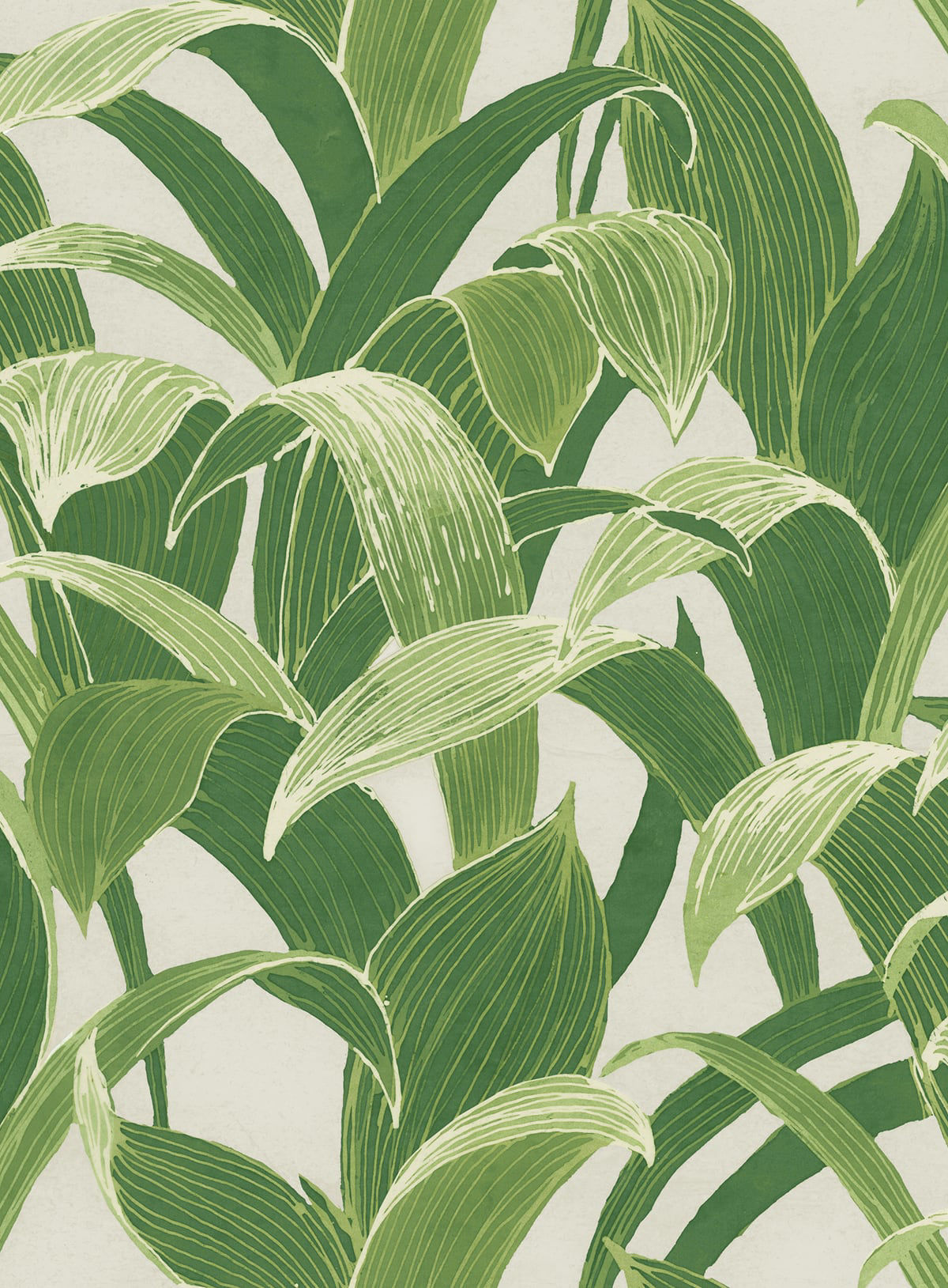 Imperial Tropical Wallpaper by Seabrook Designs (Koi Collection)