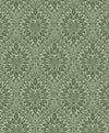 Fern