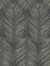 Paradise Palm Wallpaper by Seabrook Designs (Beach House Collection)