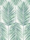 Paradise Palm Wallpaper by Seabrook Designs (Beach House Collection)