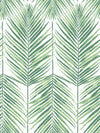 Paradise Palm Wallpaper by Seabrook Designs (Beach House Collection)