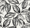 Beckett Wallpaper by Seabrook Designs ( Summer House Collection)