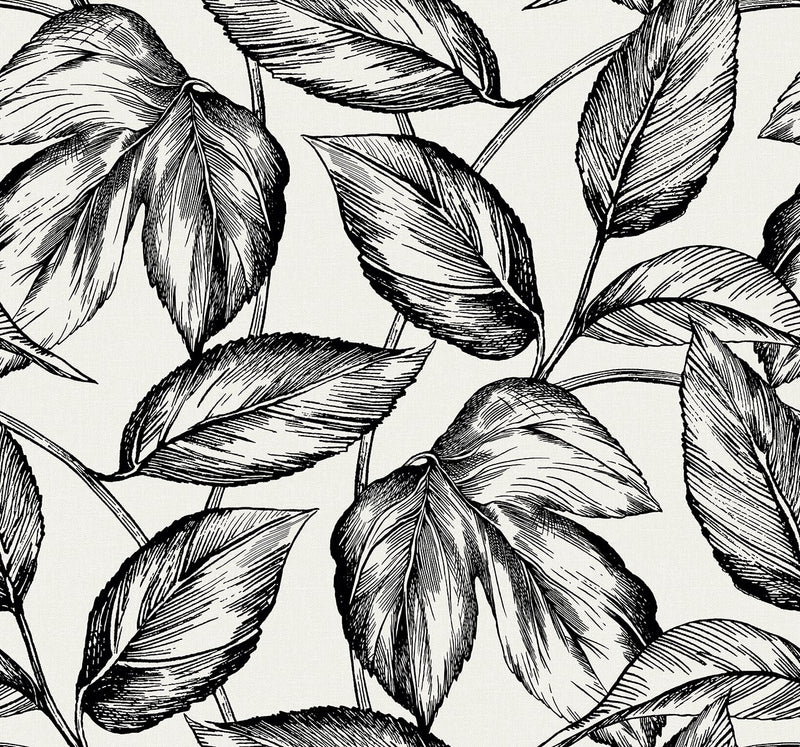 Beckett Wallpaper by Seabrook Designs ( Summer House Collection)