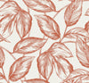 Rich Coral