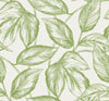 Apple Green
