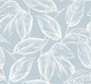 BabyBlue