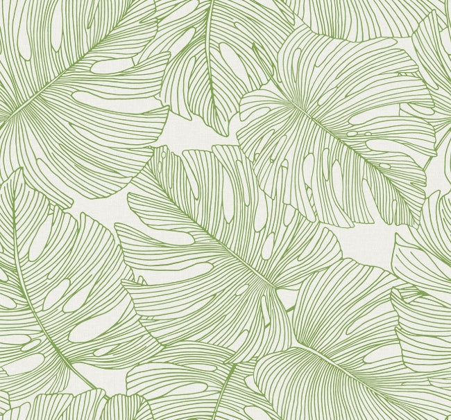 Tarra Wallpaper by Seabrook Designs (Summer House Collection)