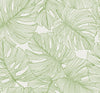 Tarra Wallpaper by Seabrook Designs (Summer House Collection)
