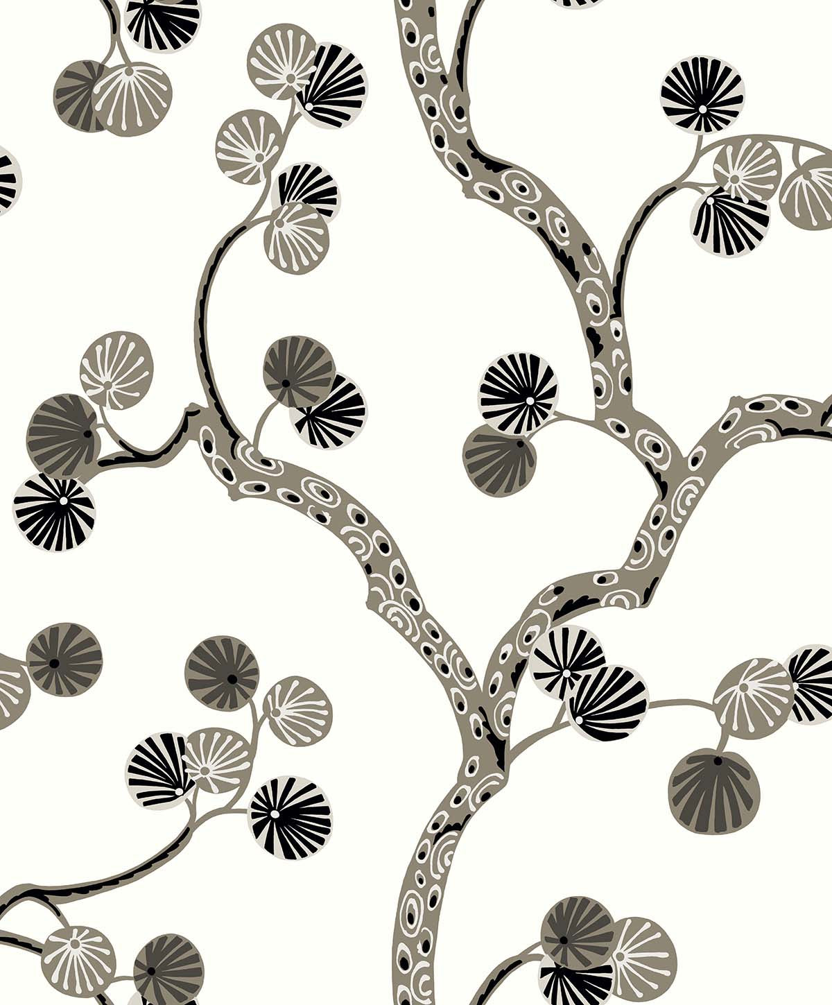Allegra Wallpaper by Seabrook Designs (Piano Collection)