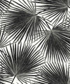 Elvis Wallpaper by Seabrook (Piano Collection)