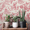 French Country Chinos Wallpaper by Seabrook Designs (French Country Collection)