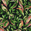 Tropical Lovebirds Wallpaper by York Wallcoverings