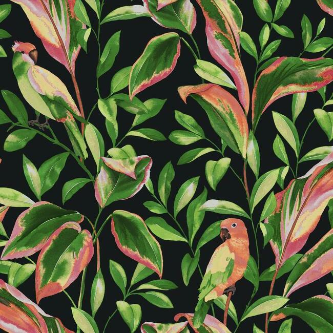 Tropical Lovebirds Wallpaper by York Wallcoverings