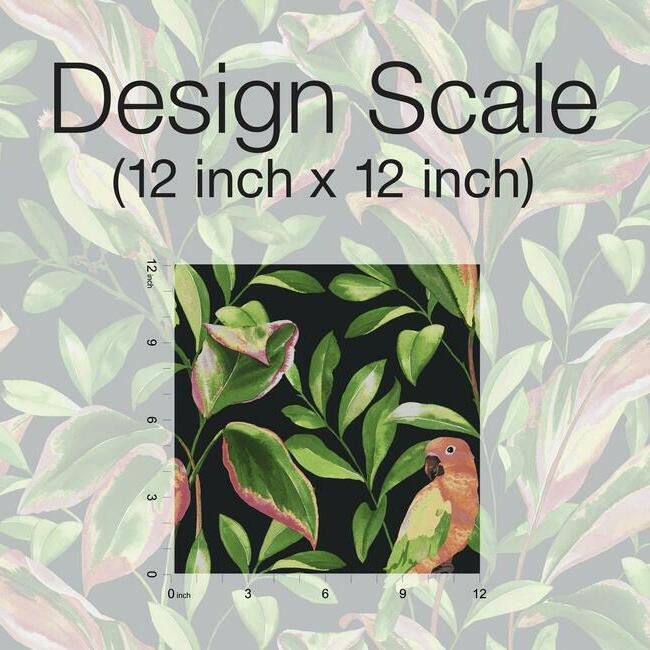 Tropical Lovebirds Wallpaper by York Wallcoverings