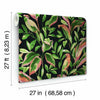Tropical Lovebirds Wallpaper by York Wallcoverings