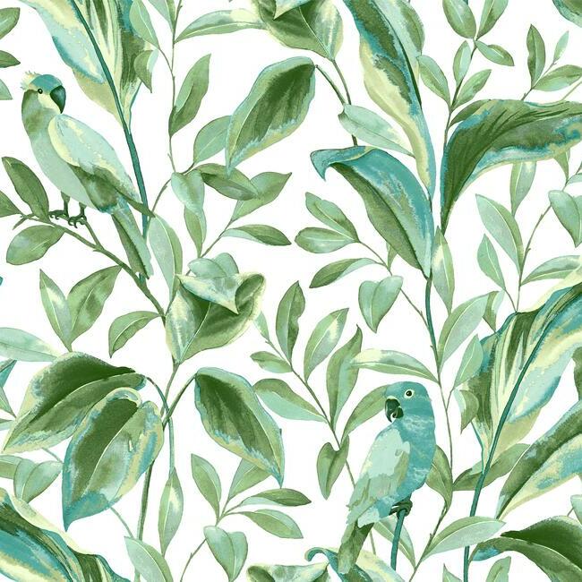 Tropical Lovebirds Wallpaper by York Wallcoverings