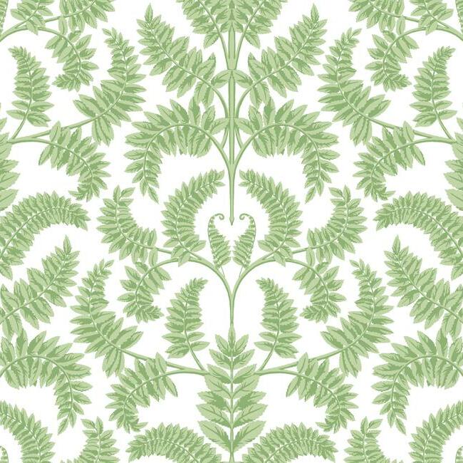 Royal Fern Damask Wallpaper by York Wallcoverings