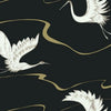 Black & Gold