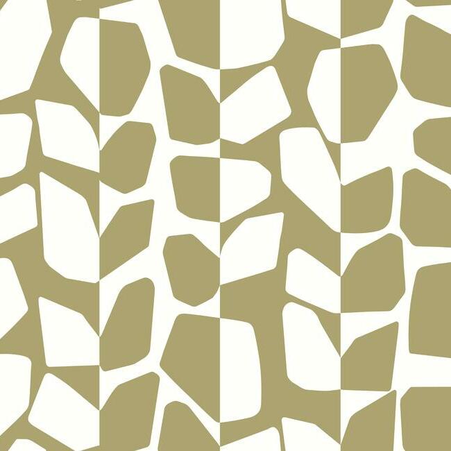 Primitive Vines Wallpaper by York Wallcoverings