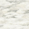 Warm Neutral