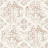 Neutral/Terracotta