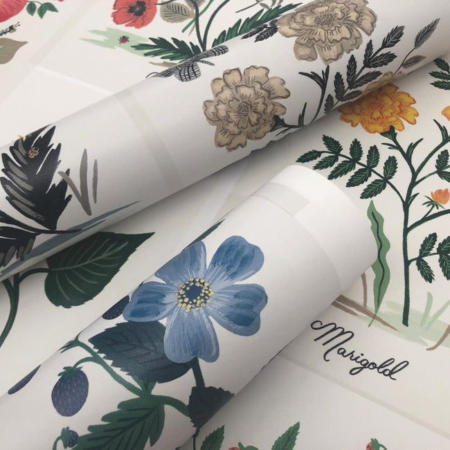 Botanical Prints Wallpaper by Rifle Paper Co.
