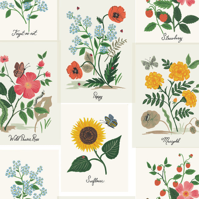 Botanical Prints Wallpaper by Rifle Paper Co.