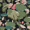 Midnight & Flamingo