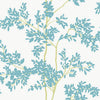 White/Aqua