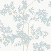 White/Cloud Blue