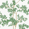 White/Green