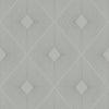 Light Grey/Silver