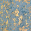 Blue/Gold