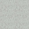 Spa/Silver
