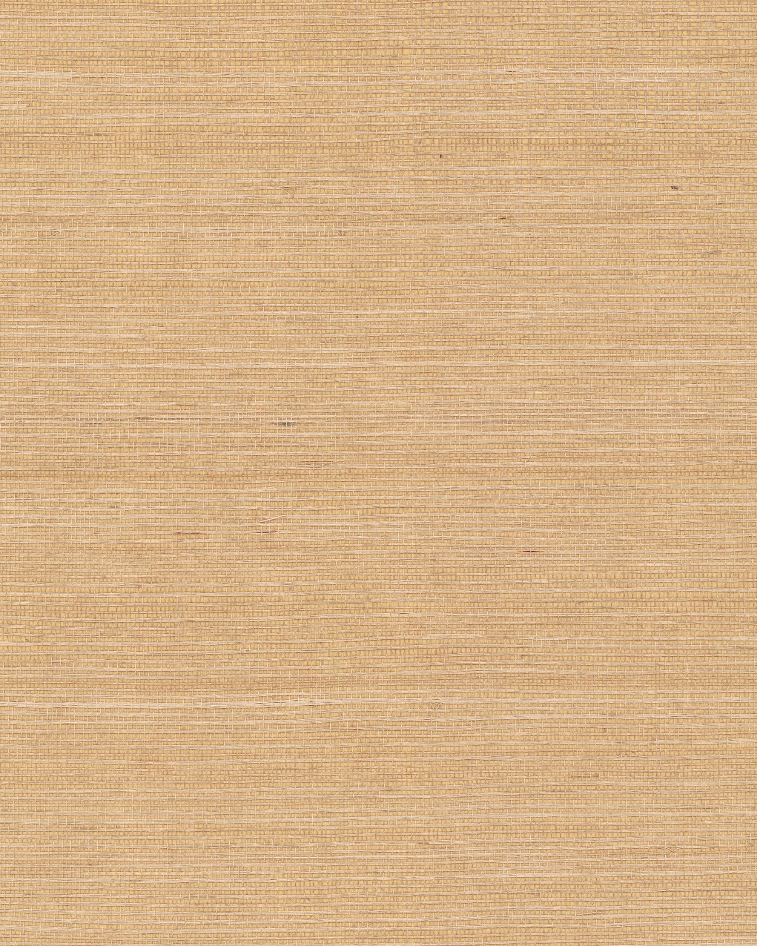 Maguey Sisal Wallpaper by York Wallcoverings