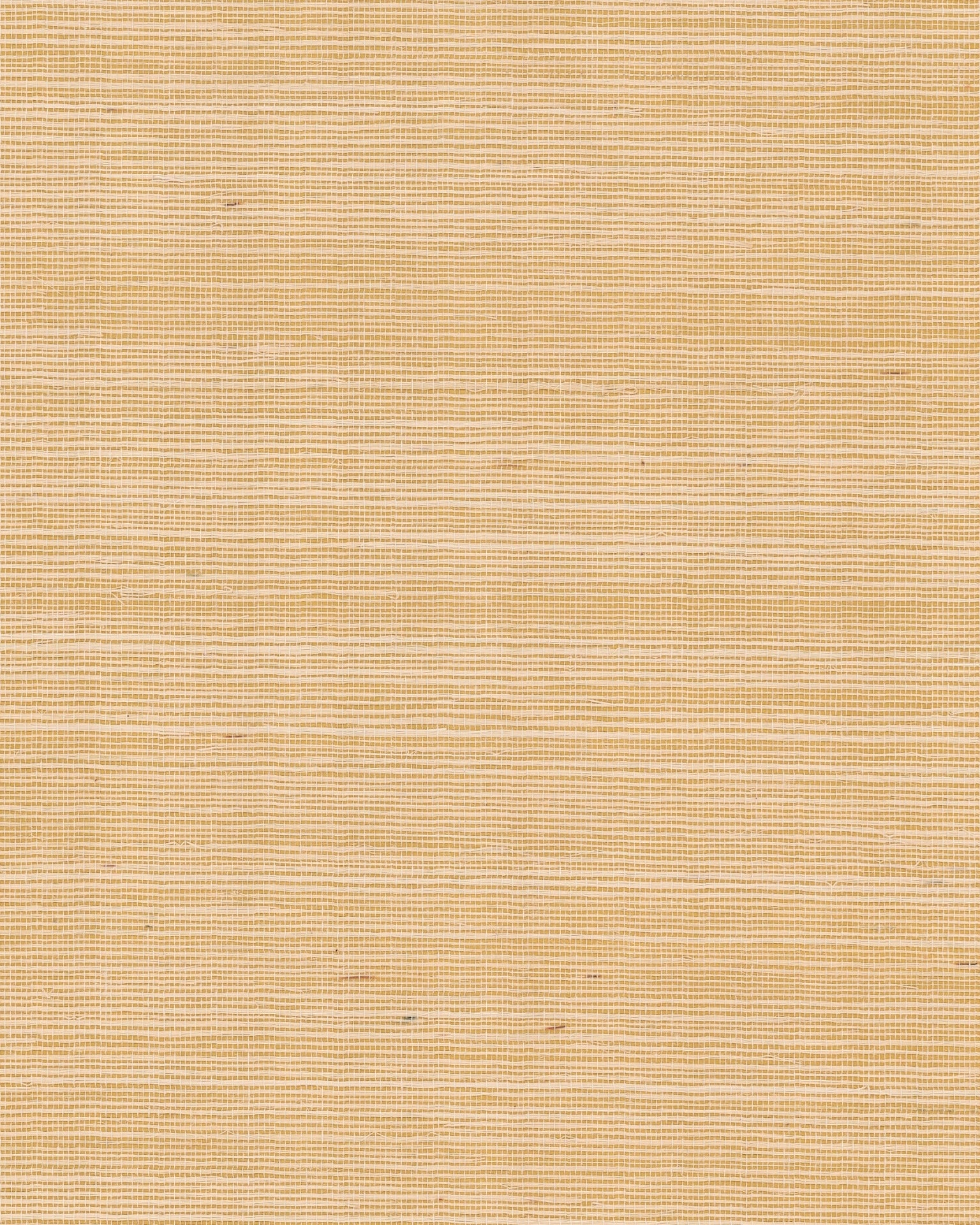 Maguey Sisal Wallpaper by York Wallcoverings