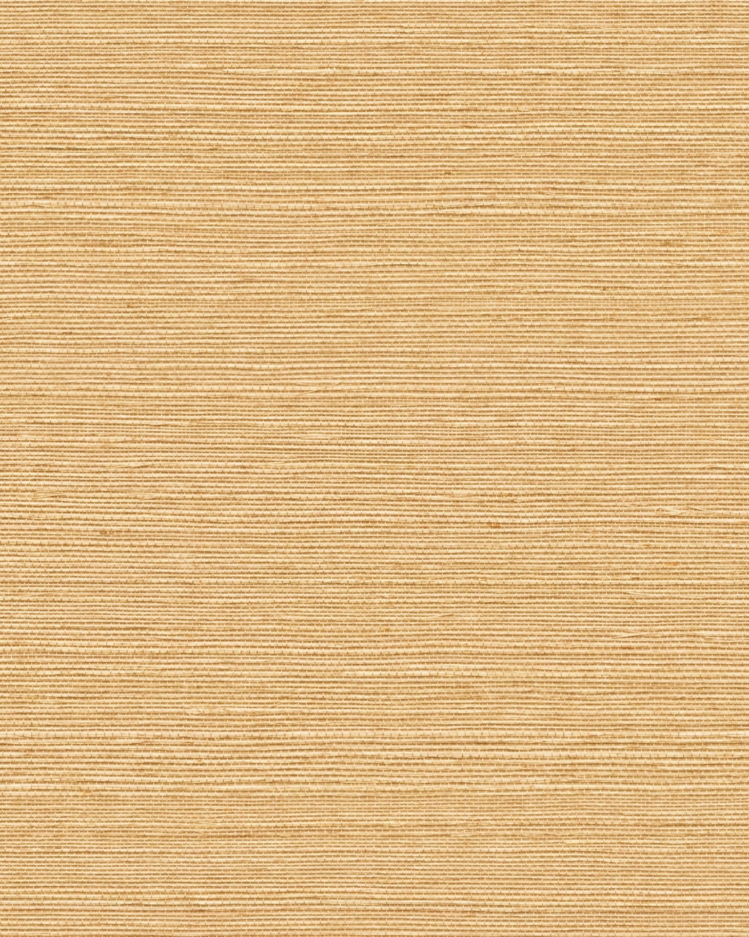 Maguey Sisal Wallpaper by York Wallcoverings