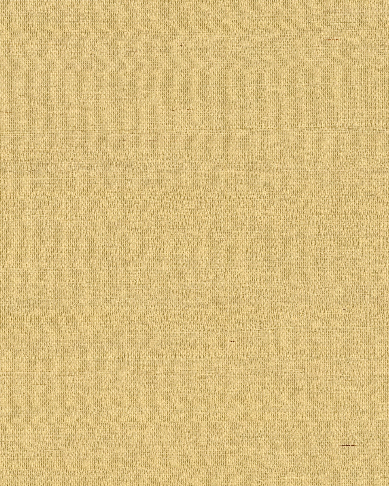 Maguey Sisal Wallpaper by York Wallcoverings