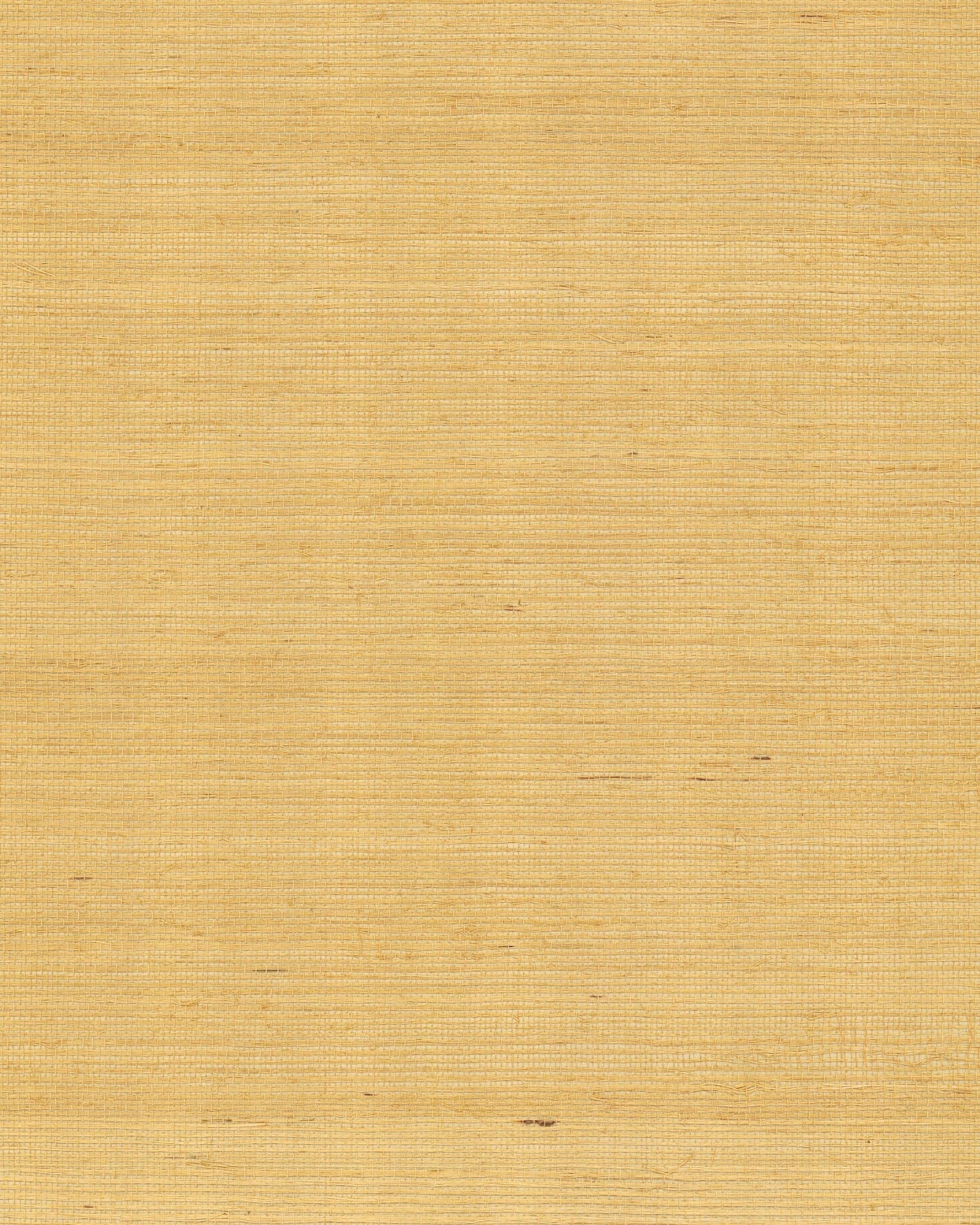 Maguey Sisal Wallpaper by York Wallcoverings