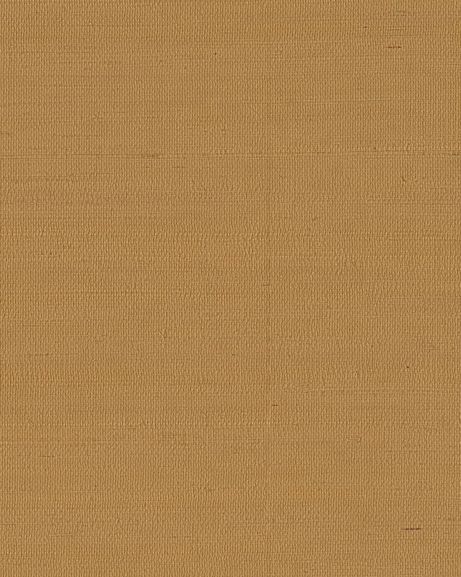 Maguey Sisal Wallpaper by York Wallcoverings