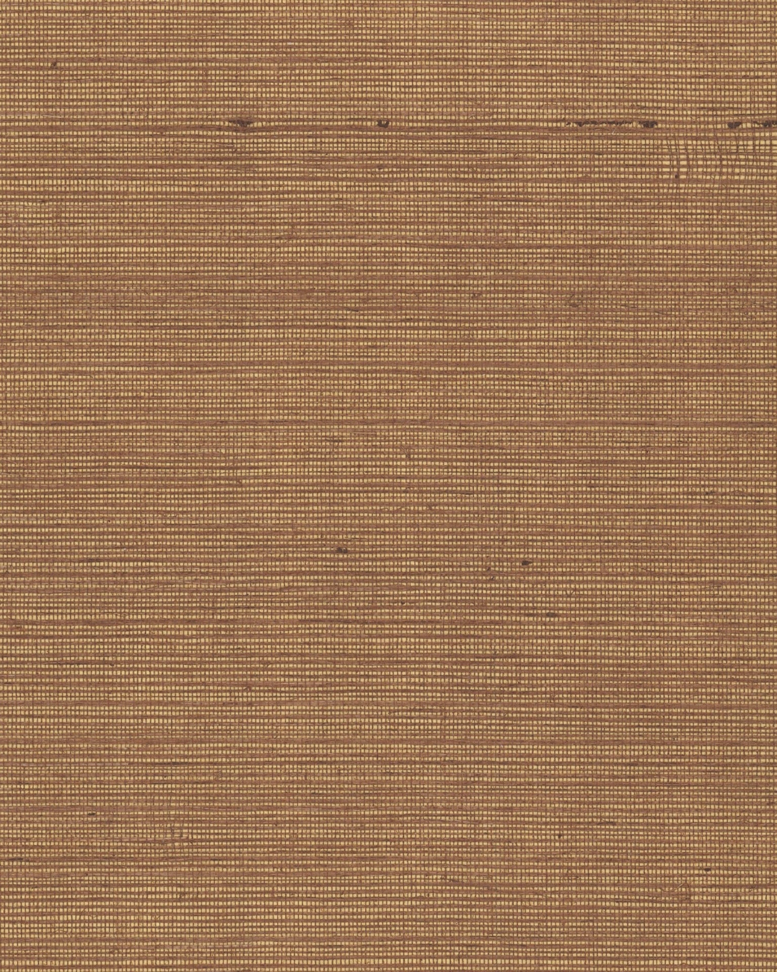 Maguey Sisal Wallpaper by York Wallcoverings