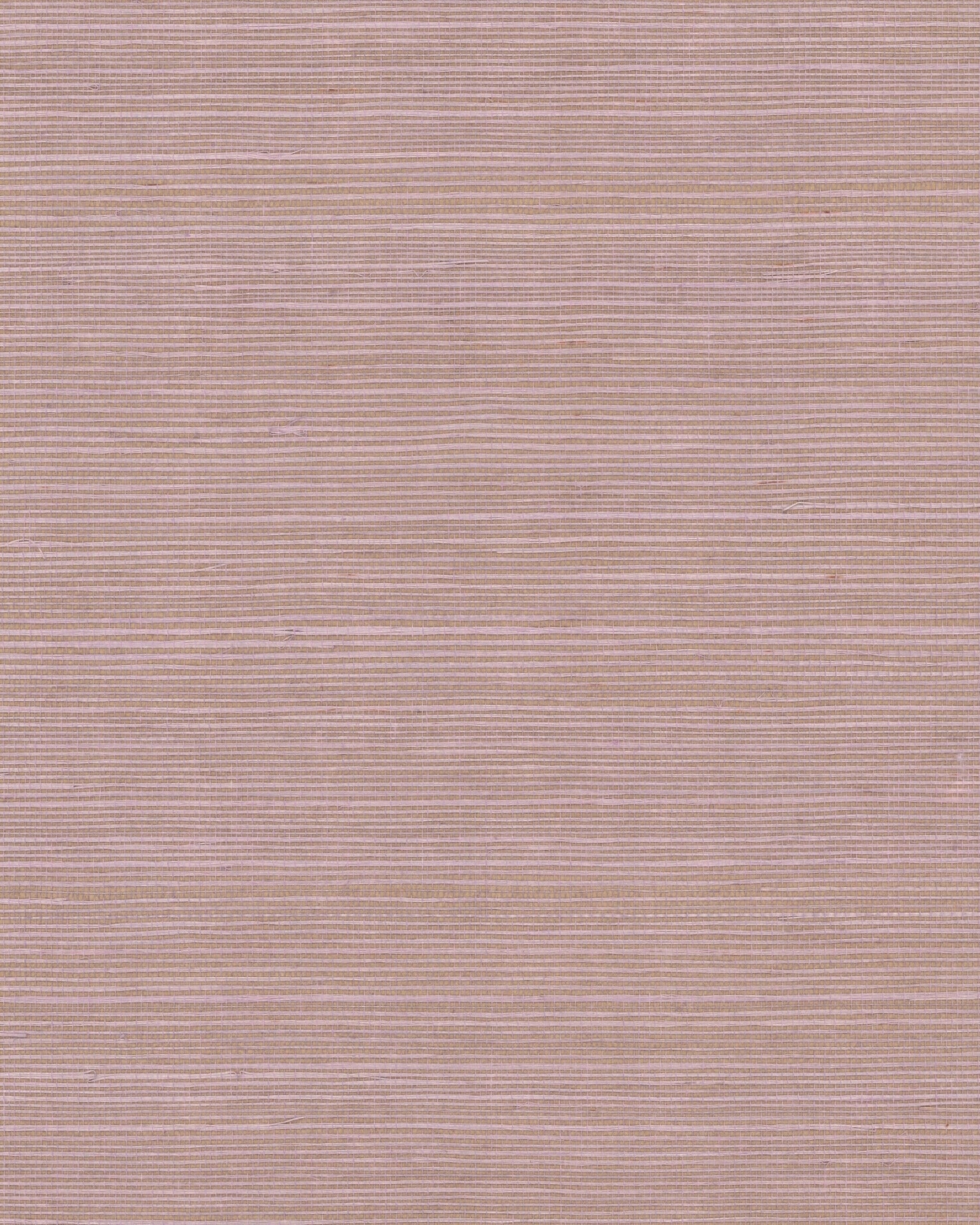 Maguey Sisal Wallpaper by York Wallcoverings