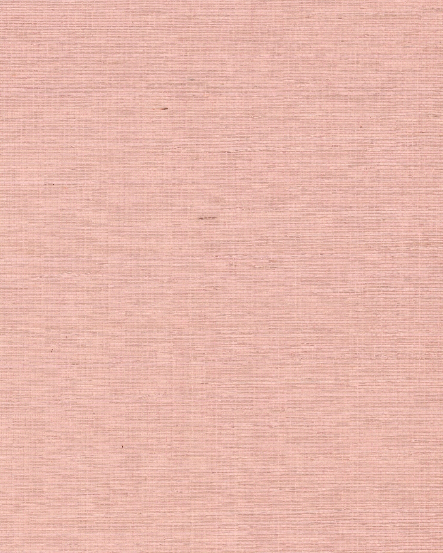 Maguey Sisal Wallpaper by York Wallcoverings