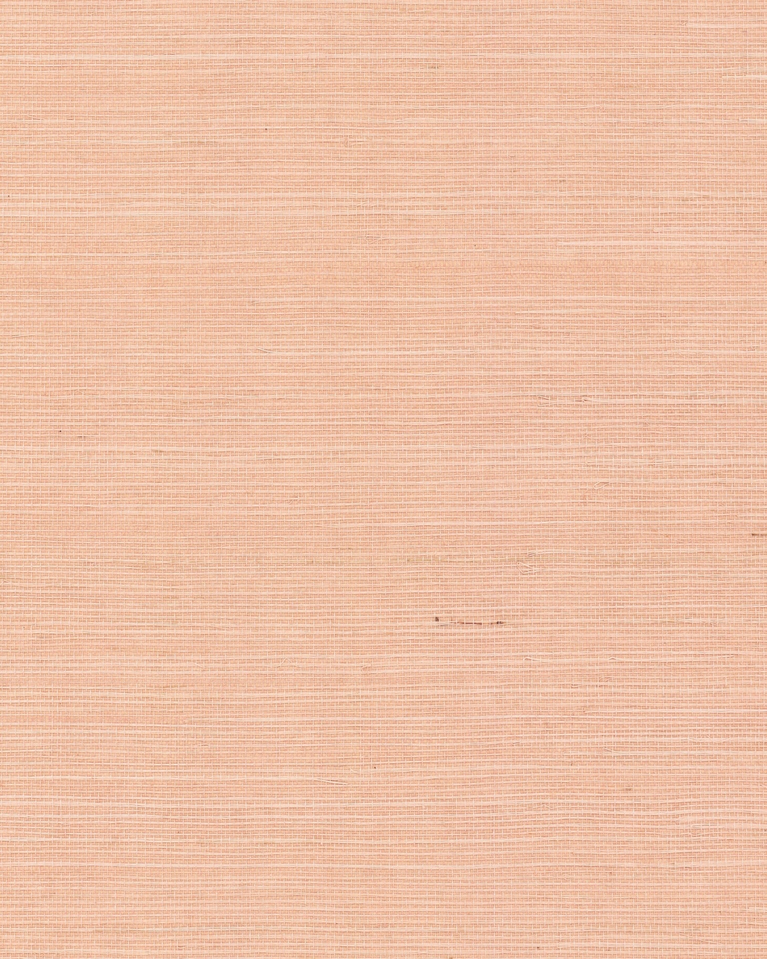 Maguey Sisal Wallpaper by York Wallcoverings