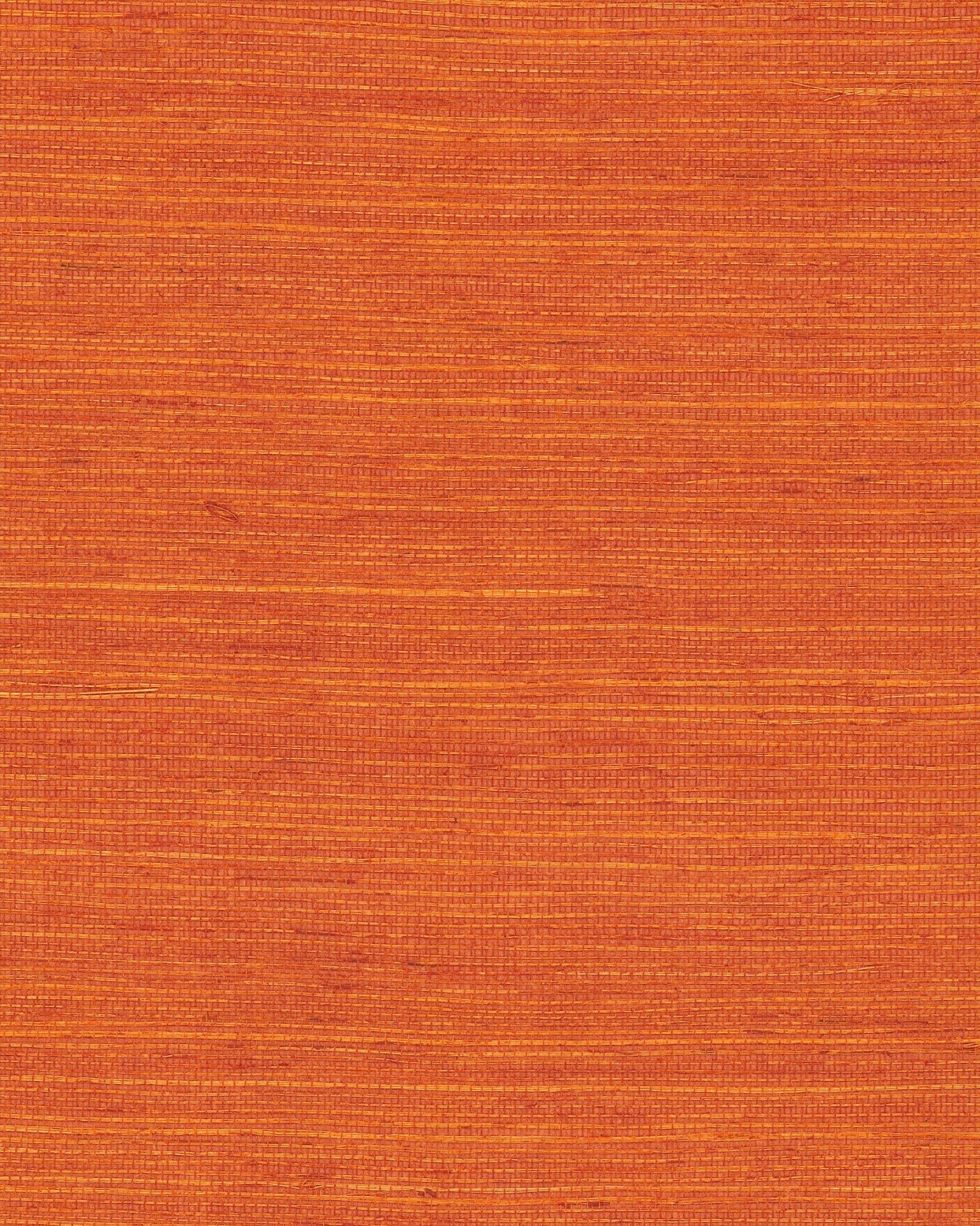 Maguey Sisal Wallpaper by York Wallcoverings