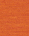 Clementine