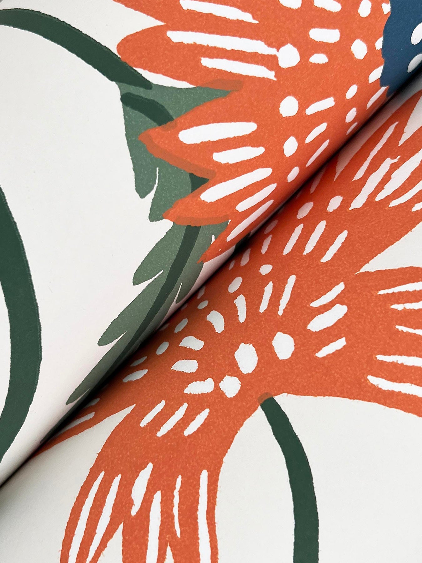 Aster Wallpaper by Rifle Paper Co.