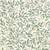 Sage & White