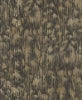 Gilded Plume Wallpper by York Wallcoverings