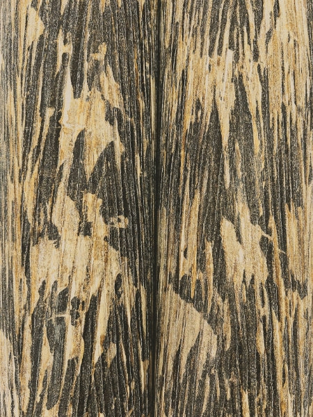 Gilded Plume Wallpper by York Wallcoverings